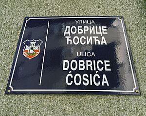 Dobrica Ćosić street