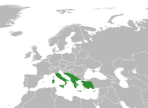 Dracunculus distribution.svg