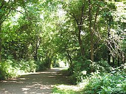 Dyke Marsh path