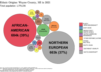 Ethnic Origins in Wayne County, MI