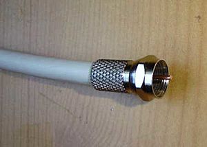 F-Stecker und Kabel
