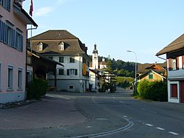 Fischingen village