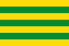 Flag of Bornos New City