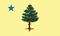Flag of Maine (1901–1909)
