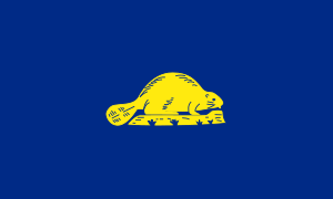 Flag of Oregon (reverse)