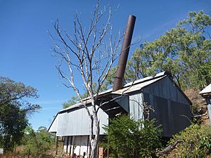General Grant Mine and Winding Plant (2012).jpg