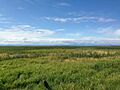 George C. Reifel Bird Sanctuary