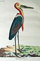 GiganticCrane