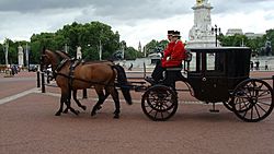 Horse (Cleveland Bay) Drawn Clarence (Brougham) Carriage & Victoria Memorial, Buckingham Palace, Westminster, London (3795290693)