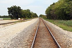 The Illinois Central Railroad tracks in Tonti, Illinois