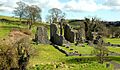 Inch abbey near Downpatrick - geograph.org.uk - 740083
