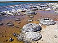 Lake Thetis-Stromatolites-LaRuth