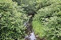 Little Shickshinny Creek