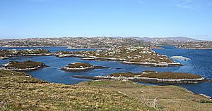 Loch Laxford Islands from Cnoc Druim na Coille - geograph.org.uk - 820566 (cropped)