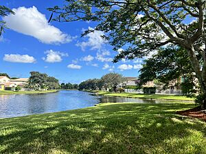 Lush greenery and vibrant blue skies