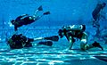 Mass Communication Specialist 3rd Class Alex Perlman photographs U.S. Navy SEAL candidates participating in Basic Underwater Demolition SEAL (BUD S) training. (49085148586)
