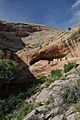 Monarch cave ruin