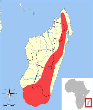 Mormopterus jugularis range map.svg