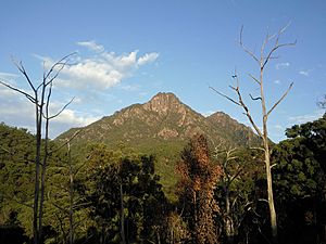 Mount Barney 3