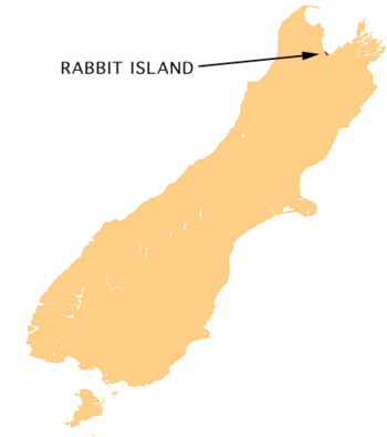 NZ-Rabbit I.png