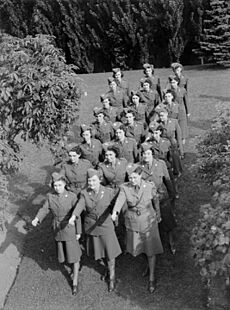 News. C.A.W.C. Canadian Auxiliary Women's Corps BAnQ Vieux-Montréal P48S1P08097