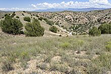 North-northwest of Bill Evans Lake - Flickr - aspidoscelis