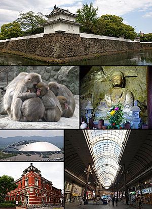 From top, left to right: Funai Castle, Monkeys in Mount Takasaki, Motomachi Stone Buddhas, Ōita Stadium, Old Ōita Bank, Shopping street in central Ōita