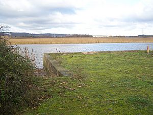 Old Wharf of Wouldham Cement Works - geograph.org.uk - 1060075.jpg