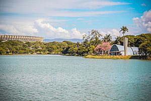 Olhar sobre a Lagoa da Pampulha