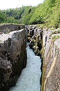 Pertes de la Valserine - panoramio (17)