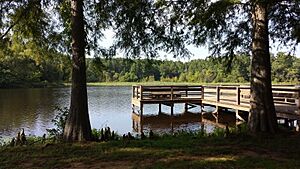 Petit Jean State Park 014