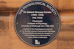 Plaque to Sir Edward Sharpey-Schafer, Elsie Inglis Quadrangle, Edinburgh University Medical Faculty
