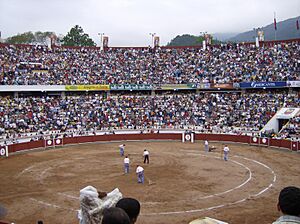 Plaza Monumental de Toros de Pueblo Nuevo