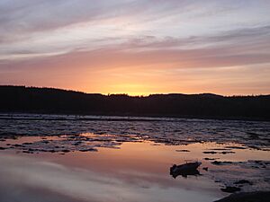 Pointe John maree basse