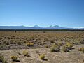 Pumice Plateau