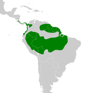 Querula purpurata map.svg