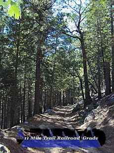 Railroad grade 11-mile-trail