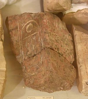 Red granite fragment bearing the cartouche of Thutmose II. Probably from a throne of a seated statue. From Thutmose III Temple at Koptos, Egypt. 18th Dynasty