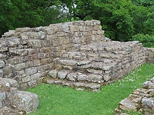 Remains of a flight of stairs, Milecastle 48 - geograph.org.uk - 844599
