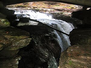 Ricketts Glen State Park Kitchen Creek Falls 3-edited-
