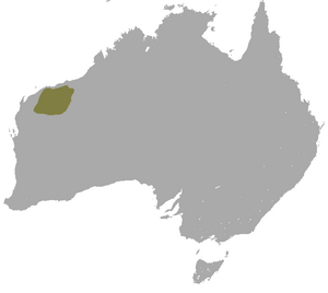 Rothschild's Rock Wallaby area.png