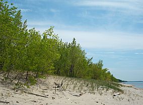 Sandy Pond Beach, New York, 20090523.JPG