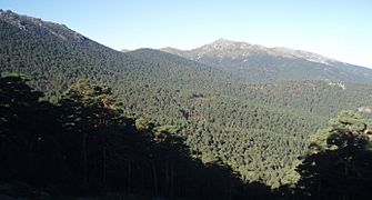 Siete Picos y Montón de Trigo