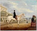 Stephen Butts on a white horse, Macquarie Street, Sydney, ca. 1850 (painted by Joseph Fowles)