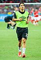 Steven Pienaar 2015