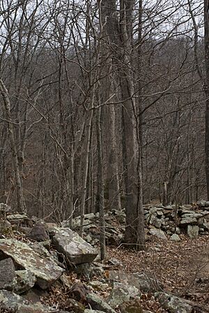 Stone Fort Wall