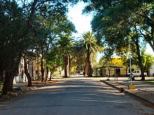 Marcelino-Moreira street, San Antonio, Canelones