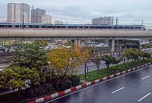 Tabriz Metro on Bridge