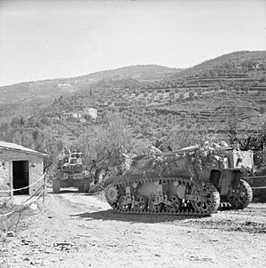 The British Army in Italy 1944 NA18585