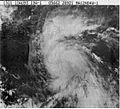 Tropical Storm Bret-1993